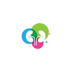Colorful Kidney Logo Design Concept.
