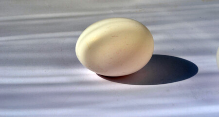 White eggs on a white background. Protein.