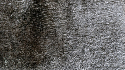 Concrete wall, old concrete wall, moldy
