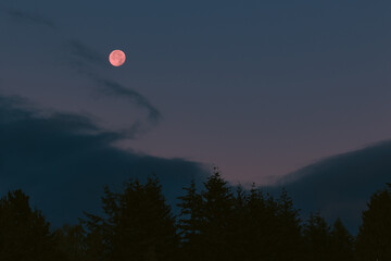 Mond mit blauer Stunde