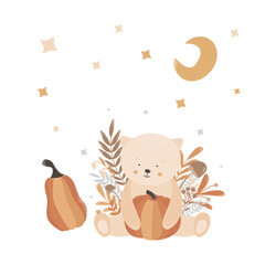 cute cat with pumpkin