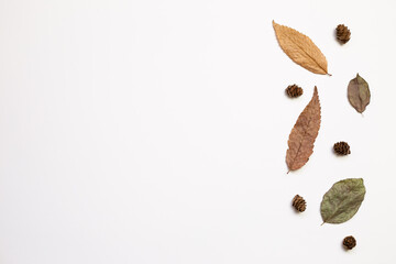 Autumn dry leaves on white background. flat lay, top view, copy space