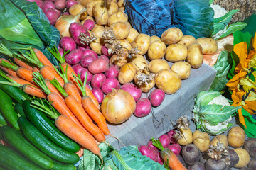 Fresh vegetables in the shop window. Sale of vegetables. Counter with colorful vegetables. Farmer's harvest. Large selection of products on display. Vegetarian food.