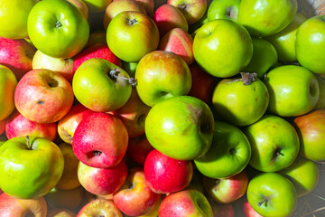 Crop of apples. Green and red apples. Bright background of apples. Fruit harvesting. Fruit in the shop window. Agricultural business.