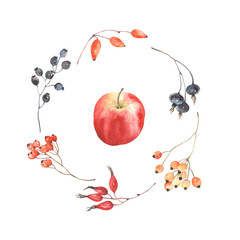 Obraz premium Watercolor frame with colorful berries and red apple in centre. Autumn illustration isolated on white background, decoration wreath.