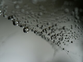 Wassertropfen im Detail