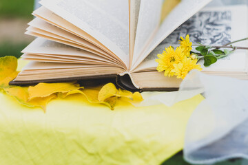 Yellow autumn fallen leaves on a yellow background at an old open book. Flowers with yellow petals on the paper pages of a brown book. Hello, autumn!
