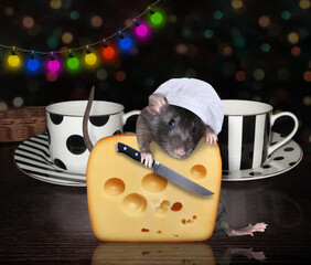 A black rat cook in a chef hat with a knife is cutting a big piece of cheese with holes near tea...
