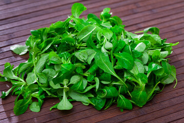 Heap of green fresh arugula leaf and canonigo or mache salad
