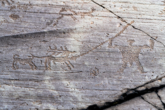 Hunting scene with deer, dog and hunter, Etruscan rock drawing, Naquane Park, Capo di Ponte, Valcamonica (Val Camonica, Lombardy