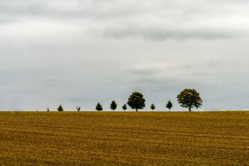 line of trees on the horizon above a tilled farm field and under an overcast sky