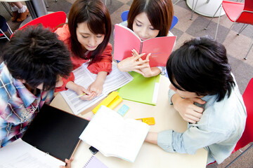 勉強する大学生