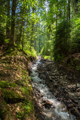 Obraz premium small river near Tăul Zânelor Lake protected area, eastern Transylvania, Bistrița-Năsăud,2020
