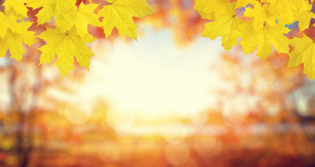  Fall blurred background.