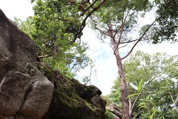 山の山頂にある大きな岩