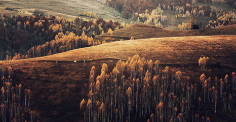 Beautiful autumnal landscape with colorful trees.