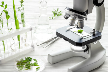 Testing plants and soil in biological laboratory