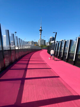 A man cycling in Auckland's Pink Path