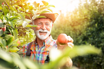 My product is the best