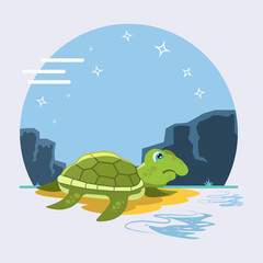 Turtle cute cartoon vector illustration