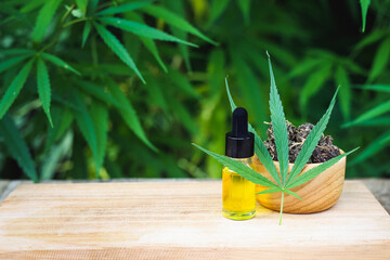 Glass bottle with CBD hemp oil, a medicine extracted from hemp oil. Close-up cannabis products,...