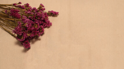 Stati Flower Dry Background