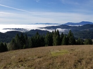 Obraz premium fog in the mountains