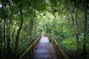 Catwalks in the iguazu falls
