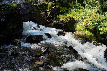 Close up of waterway flowing in mountainous area. Mountain river flows through stones in wooded area in summertime.