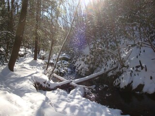 winter in the forest snow covered trail river