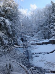 winter in the forest snow covered trail river