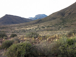 Fototapeta premium Karoo National Park South Africa