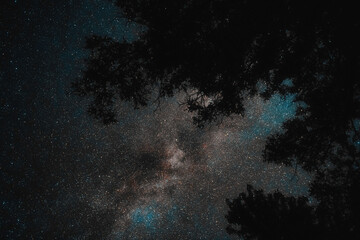 Stunning night sky views of the Milky Way with millions of stars.  Featuring landscapes in rural...