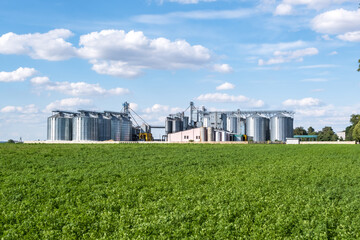 Modern Granary elevator. Silver silos on agro-processing and manufacturing plant for processing drying cleaning and storage of agricultural products, flour, cereals and grain. © hiv360