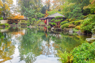Amazing autumn nature  and authentical tea house in japanese garden in Kaiserslautern