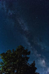 Fototapeta na wymiar Stunning night sky views of the Milky Way with millions of stars. Featuring landscapes in rural locations around Ontario Canada.