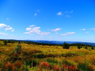 Europe, France, Grand Est, Alsace, Haut Rhin, Faing grass ridge trail