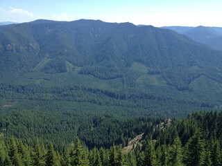Forest mountain landscape blue sky