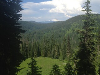 Forest mountain landscape blue sky