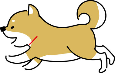 楽しそうに走る柴犬