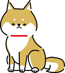 お座りをする柴犬