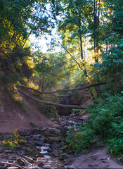 Morning sun rays pass through the trees in the forest illuminating the Gorchakovsky waterfall in Staraya Ladoga