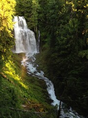 Fototapeta na wymiar waterfalls in the forest