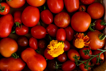 Tomatoes with flowers