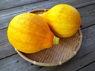 かぼちゃ　コリンキー