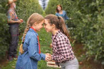 Fototapeta premium My sister