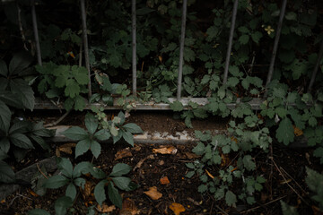 Old and moody architecture photography