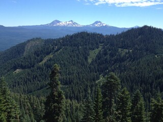 cascades in the mountains forest
