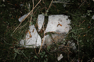 Old and moody architecture photography