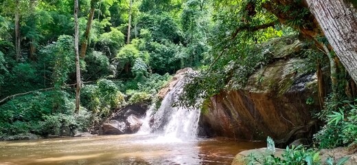 water flowing into the forest